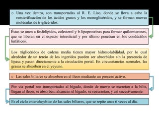o Una vez dentro, son transportadas al R. E. Liso, donde se lleva a cabo la
reesterificación de los ácidos grasos y los monoglicéridos, y se forman nuevas
moléculas de triglicéridos.
Éstas se unen a fosfolípidos, colesterol y b-lipoproteínas para formar quilomicrones,
que se liberan en el espacio intersticial y por último penetran en los condúctilos
linfáticos.
Los triglicéridos de cadena media tienen mayor hidrosolubilidad, por lo cual
alrededor de un tercio de los ingeridos pueden ser absorbidos sin la presencia de
lipasa y pasan directamente a la circulación portal. En circunstancias normales, las
grasas se absorben en el yeyuno.
o Las sales biliares se absorben en el íleon mediante un proceso activo.
Por vía portal son transportadas al hígado, donde de nuevo se excretan a la bilis,
llegan al íleon, se absorben, alcanzan el hígado, se reexcretan, y así sucesivamente.
Es el ciclo enterohepático de las sales biliares, que se repite unas 6 veces al día.

 