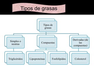 Tipos de grasas
Tipos de
grasas

Simples o
neutras

Triglicéridos

Compuestas

Lipoproteínas

Fosfolípidos

Derivadas (de
las
compuestas)

Colesterol

 