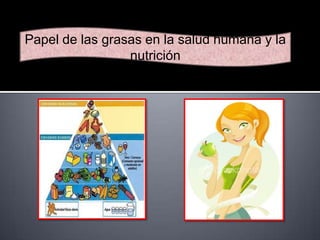 Papel de las grasas en la salud humana y la
nutrición

 