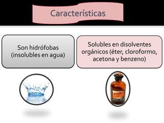 Son hidrófobas
(insolubles en agua)

Solubles en disolventes
orgánicos (éter, cloroformo,
acetona y benzeno)

 
