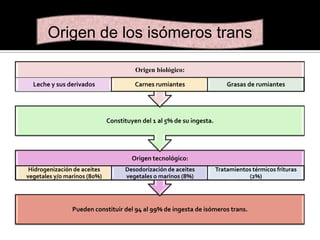 Origen de los isómeros trans
Origen biológico:
Leche y sus derivados

Carnes rumiantes

Grasas de rumiantes

Constituyen del 1 al 5% de su ingesta.

Origen tecnológico:
Hidrogenización de aceites
vegetales y/o marinos (80%)

Desodorización de aceites
vegetales o marinos (8%)

Tratamientos térmicos frituras
(2%)

Pueden constituir del 94 al 99% de ingesta de isómeros trans.

 