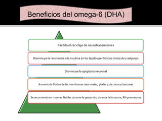 Beneficios del omega-6 (DHA)

Facilita el reciclaje de neurotransmisores

Disminuye la resistencia a la insulina en los tejidos periféricos (músculo y adiposo)

Disminuye la apoptosis neuronal

Aumenta la fluidez de las membranas neuronales, gliales y de conos y bastones

Se recomienda en mujeres fértiles durante la gestación, durante la lactancia, RN prematuros

 