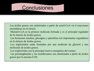 Conclusiones

o
o
o

o
o
o

Los ácidos grasos son sintetizados a partir de acteil-CoA vía 6 reacciones
enzimáticas en el citosol.
Malonil-CoA es la primera molécula formada y es el principal regulador
de la síntesis de ácidos grasos.
Las hormonas insulina, glucagón y epinefrina son importantes reguladores
en la síntesis de ácidos grasos.
Los triglicéridos están formados por una molécula de glicerol y tres
moléculas de ácidos grasos.
Los triglicéridos son la principal reserva energética del cuerpo.
Las prostanglanidas y los tromboxanos son sintetizados a partir de ácidos
grasos por la enzima COX.

 