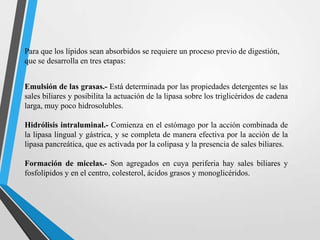 Para que los lípidos sean absorbidos se requiere un proceso previo de digestión,
que se desarrolla en tres etapas:
Emulsión de las grasas.- Está determinada por las propiedades detergentes se las
sales biliares y posibilita la actuación de la lipasa sobre los triglicéridos de cadena
larga, muy poco hidrosolubles.
Hidrólisis intraluminal.- Comienza en el estómago por la acción combinada de
la lipasa lingual y gástrica, y se completa de manera efectiva por la acción de la
lipasa pancreática, que es activada por la colipasa y la presencia de sales biliares.
Formación de micelas.- Son agregados en cuya periferia hay sales biliares y
fosfolípidos y en el centro, colesterol, ácidos grasos y monoglicéridos.

 