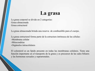 La grasa
La grasa corporal se divide en 2 categorías:
Grasa almacenada
Grasa estructural
La grasa almacenada brinda una reserva de combustible para el cuerpo.
La grasa estructural forma parte de la estructura intrínseca de las células:
-Membrana celular
-Mitocondrias
-Orgánulos intracelulares
El colesterol es un lípido presente en todas las membranas celulares. Tiene una
función importante en el transporte de la grasa y es precursor de las sales biliares
y las hormonas sexuales y suprarrenales.

 