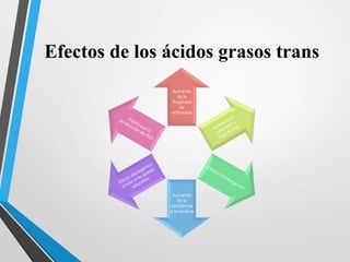 Efectos de los ácidos grasos trans
Aumento
de la
fragilidad
de
eritrocitos

Aumento
de la
resistencia
a la insulina

 