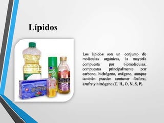 Lipidos bioquimica.