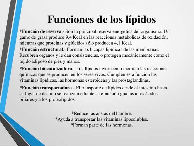 Lipidos bioquimica.