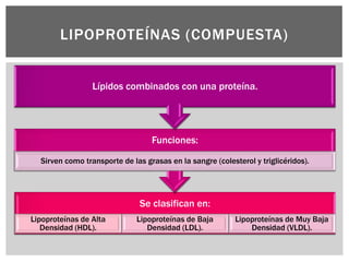 Lipidos bioquimica b