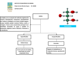 INSTITUTO TECNOLÓGOCO DE SONORA
Felipe de Jesús Morales Esquer. ID: 136448
16/Febrero/2015
Lípidos
Los lípidos son un conjunto de moléculas orgánicas (la
mayoría biomoléculas) compuestas principalmente
por carbono e hidrógeno y en menor medida oxígeno,
aunque también pueden contener fósforo, azufre y
nitrógeno. Tienen como característica principal el ser
hidrófobas (insolubles en agua) y solubles en
disolventes orgánicos como la bencina, el benceno y
el cloroformo.
Saponificables Insaponificables
Ácidos Grasos Esteroides
Forman parte de otros lípidos,
responsables de muchas
propiedades físicas.
Regulan el metabolismo, la
respuesta inmune, reproducción
y otros.
 