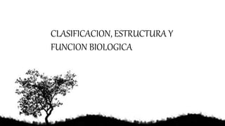 CLASIFICACION, ESTRUCTURA Y
FUNCION BIOLOGICA
 
