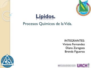 Lípidos.
Procesos Químicos de laVida.
INTEGRANTES:
Viviana Fernandez
Diana Zaragoza
Brenda Figueroa
 