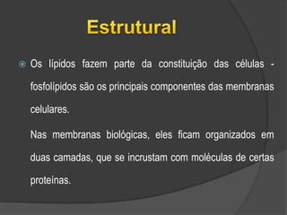 Funções dos LípidosFonte energética (calorífica);Estrutural;Isolante térmico;Protecção mecânica.