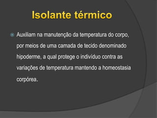 Fonte energética - caloríficaFornecem mais energia que os glícidos, porém estes são preferencialmente utilizados pela célula. 