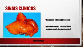 SINAIS CLÍNICOS
Fonte: https://pt.slideshare.net/Ricardola/gato-amarelo
HEPATOMEGALIA
• Fígado com até mais 50% de peso
• Fígado do obeso já era maior e com
mais gordura (esteatose hepática)
 