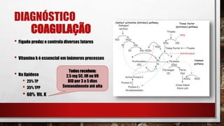DIAGNÓSTICO
COAGULAÇÃO
• Fígado produz e controla diversos fatores
• Vitamina k é essencial em inúmeros processos
• Na lipidose
• 25% TP
• 35% TPP
• 60% Vit. K
Todos recebem:
2,5 mg SC, IM ou VO
BID por 3 a 5 dias
Semanalmente até alta
 