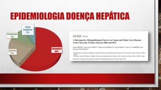 EPIDEMIOLOGIA DOENÇA HEPÁTICA
Colangites
60%Lipidose
21%
Neoplasias
11%
cistos
hepáticos
8%
 