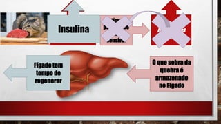 Anorexia
Quebra de
lipídeosnos
tecidos
O que sobra da
quebra é
armazenado
no Fígado
Estímulo
para lipase
hormônio
sensível
Glucagon
Catecolaminas
Cortisol
Glicose
Insulina
Fígado tem
tempo de
regenerar
 