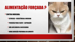 ALIMENTAÇÃO FORÇADA ?
•CONTRA INDICADA:
• ESTRESSE = RESISTÊNCIA A INSULINA
• PERIGOSA PARA O GATO = ASPIRAÇÃO
• NÃO SUPLEMENTA O NECESSÁRIO
• INDUZ AVERSÃO PROFUNDA AO ALIMENTO
 