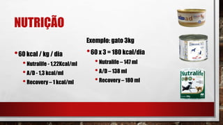 NUTRIÇÃO
•60 kcal / kg / dia
•Nutralife - 1,22Kcal/ml
•A/D - 1,3 kcal/ml
•Recovery – 1 kcal/ml
Exemplo: gato 3kg
•60 x 3 = 180 kcal/dia
•Nutralife – 147 ml
•A/D – 138 ml
•Recovery – 180 ml
 