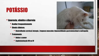POTÁSSIO
•Anorexia, vômito e diarreia
• Avaliar frequentemente
• Sinais clínicos:
• Ventroflexão cervical, letargia , fraqueza muscular, hipomotilidade gastrointestinal e nefropatia
• Tratamento
• Voltar a comer
• Suplementação VO ou IV
 