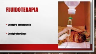 FLUIDOTERAPIA
•Corrigir a desidratação
•Corrigir eletrólitos
 