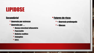LIPIDOSE
Secundária!
• Anorexia por estresse
• Anorexia por . . .
• Doença intestinal inflamatória
• Pancreatite
• Diabetes mellitus
• Colangites
• D.R.C.
•Fatores de risco:
• + Anorexia prolongada
• + Obesos
 