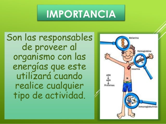 LIPIDOS, ENZIMAS Y PROTEINAS