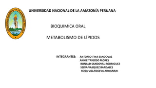 METABOLISMO DE LÍPIDOS
UNIVERSIDAD NACIONAL DE LA AMAZONÍA PERUANA
BIOQUIMICA ORAL
INTEGRANTES: ANTONIO TINA SANDOVAL
ANNIE TRIGOSO FLORES
RONALD SANDOVAL RODRIGUEZ
SELVA VASQUEZ BARDALES
ROSA VILLANUEVA AHUANARI
 