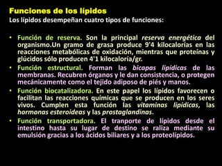 Funciones de los lípidos
Los lípidos desempeñan cuatro tipos de funciones:
• Función de reserva. Son la principal reserva energética del
organismo.Un gramo de grasa produce 9'4 kilocalorías en las
reacciones metabólicas de oxidación, mientras que proteínas y
glúcidos sólo producen 4'1 kilocaloría/gr.
• Función estructural. Forman las bicapas lipídicas de las
membranas. Recubren órganos y le dan consistencia, o protegen
mecánicamente como el tejido adiposo de piés y manos.
• Función biocatalizadora. En este papel los lípidos favorecen o
facilitan las reacciones químicas que se producen en los seres
vivos. Cumplen esta función las vitaminas lipídicas, las
hormonas esteroideas y las prostaglandinas.
• Función transportadora. El tranporte de lípidos desde el
intestino hasta su lugar de destino se raliza mediante su
emulsión gracias a los ácidos biliares y a los proteolípidos.
 