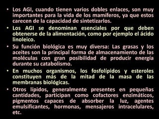 • Los AGI, cuando tienen varios dobles enlaces, son muy
importantes para la vida de los mamíferos, ya que estos
carecen de la capacidad de sintetizarlos.
• Los AGI se denominan esenciales por que deben
obtenerse de la alimentación, como por ejemplo el ácido
linoleico.
• Su función biológica es muy diversa: Las grasas y los
aceites son la principal forma de almacenamiento de las
moléculas con gran posibilidad de producir energía
durante su catabolismo.
• En muchos organismos, los fosfolípidos y esteroles
constituyen más de la mitad de la masa de las
membranas biológicas.
• Otros lípidos, generalmente presentes en pequeñas
cantidades, participan como cofactores enzimáticos,
pigmentos capaces de absorber la luz, agentes
emulsificantes, hormonas, mensajeros intracelulares,
etc.
 