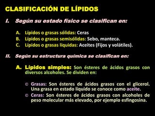 I. Según su estado físico se clasifican en:
A. Lípidos o grasas sólidas: Ceras
B. Lípidos o grasas semisólidas: Sebo, manteca.
C. Lípidos o grasas líquidas: Aceites (Fijos y volátiles).
II. Según su estructura química se clasifican en:
A. Lípidos simples: Son ésteres de ácidos grasos con
diversos alcoholes. Se dividen en:
© Grasas: Son ésteres de ácidos grasos con el glicerol.
Una grasa en estado líquido se conoce como aceite.
© Ceras: Son ésteres de ácidos grasos con alcoholes de
peso molecular más elevado, por ejemplo esfingosina.
CLASIFICACIÓN DE LÍPIDOS
 