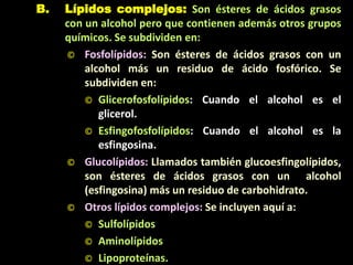 B. Lípidos complejos: Son ésteres de ácidos grasos
con un alcohol pero que contienen además otros grupos
químicos. Se subdividen en:
© Fosfolípidos: Son ésteres de ácidos grasos con un
alcohol más un residuo de ácido fosfórico. Se
subdividen en:
© Glicerofosfolípidos: Cuando el alcohol es el
glicerol.
© Esfingofosfolípidos: Cuando el alcohol es la
esfingosina.
© Glucolípidos: Llamados también glucoesfingolípidos,
son ésteres de ácidos grasos con un alcohol
(esfingosina) más un residuo de carbohidrato.
© Otros lípidos complejos: Se incluyen aquí a:
© Sulfolípidos
© Aminolípidos
© Lipoproteínas.
 