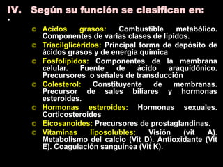 IV. Según su función se clasifican en:
•
© Acidos grasos: Combustible metabólico.
Componentes de varias clases de lípidos.
© Triacilglicéridos: Principal forma de depósito de
ácidos grasos y de energía química
© Fosfolípidos: Componentes de la membrana
celular. Fuente de ácido araquidónico.
Precursores o señales de transducción
© Colesterol: Constituyente de membranas.
Precursor de sales biliares y hormonas
esteroides.
© Hormonas esteroides: Hormonas sexuales.
Corticosteroides
© Eicosanoides: Precursores de prostaglandinas.
© Vitaminas liposolubles: Visión (vit A).
Metabolismo del calcio (Vit D). Antioxidante (Vit
E). Coagulación sanguínea (Vit K).
 