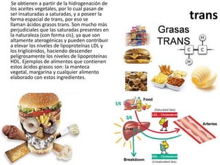 Se obtienen a partir de la hidrogenación de
los aceites vegetales, por lo cual pasan de
ser insaturadas a saturadas, y a poseer la
forma espacial de trans, por eso se            trans
llaman ácidos grasos trans. Son mucho más
perjudiciales que las saturadas presentes en
la naturaleza (con forma cis), ya que son
altamente aterogénicas y pueden contribuir
a elevar los niveles de lipoproteínas LDL y
los triglicéridos, haciendo descender
peligrosamente los niveles de lipoproteínas
HDL. Ejemplos de alimentos que contienen
estos ácidos grasos son: la manteca
vegetal, margarina y cualquier alimento
elaborado con estos ingredientes.
 
