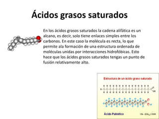 Ácidos grasos saturados
  En los ácidos grasos saturados la cadena alifática es un
  alcano, es decir, solo tiene enlaces simples entre los
  carbonos. En este caso la molécula es recta, lo que
  permite ala formación de una estructura ordenada de
  moléculas unidas por interacciones hidrofóbicas. Esto
  hace que los ácidos grasos saturados tengas un punto de
  fusión relativamente alto.
 