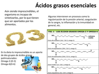 Ácidos grasos esenciales
   Aún siendo imprescindibles, el
   organismo es incapaz de
                                             Algunos intervienen en procesos como la
   sintetizarlos, por lo que tienen
                                             regularicación de la presión arterial, coagulación
   que ser aportados por los                 de la sangre, la inflamación y la inmunidad en
   alimentos.                                general, etc.




En la dieta lo imprescindible es un aporte
de dos grupos de ácidos grasos
poliinsaturados:
Omega-3 (Ω-3)
Omega-6(Ω-6)
 