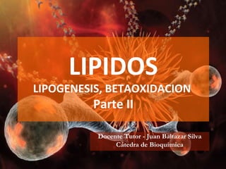 LIPIDOS LIPOGENESIS, BETAOXIDACION  Parte II Docente Tutor - Juan Baltazar Silva Cátedra de Bioquímica 