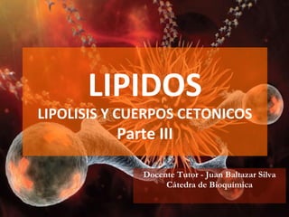 Docente Tutor - Juan Baltazar Silva Cátedra de Bioquímica LIPIDOS LIPOLISIS Y CUERPOS CETONICOS Parte III 