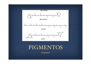 PIGMENTOS
(terpenos)
 