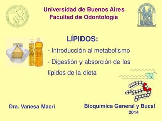 Universidad de Buenos Aires 
Facultad de Odontología 
LÍPIDOS: 
- Introducción al metabolismo 
- Digestión y absorción de los 
lípidos de la dieta 
Dra. Vanesa Macri Bioquímica General y Bucal 
2014 
 