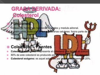 

Funciones:

Síntesis de hormonas: hormonas sexuales y medula adrenal.
 Constituyente molecular de las membranas celulares: forma parte de la
mielina.
 Precursor de la vitamina




Colesterol – Fuentes

Colesterol endógeno: Representa el colesterol que fabrica el cuerpo
 80% de este colesterol es producido por el hígado e intestino delgado
 Colesterol exógeno: es aquel adquirido por la dieta representa el 20%.


 