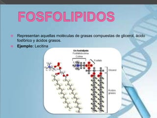 


Representan aquellas moléculas de grasas compuestas de glicerol, ácido
fosfórico y ácidos grasos.
Ejemplo: Lecitina

 