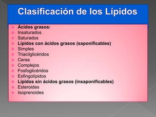 













Ácidos grasos:
Insaturados
Saturados
Lípidos con ácidos grasos (saponificables)
Simples
Triacilglicéridos
Ceras
Complejos
Fosfoglicéridos
Esfingolípidos
Lípidos sin ácidos grasos (insaponificables)
Esteroides
Isoprenoides

 