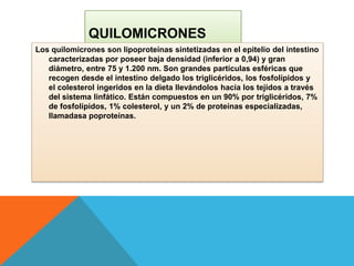 QUILOMICRONES
Los quilomicrones son lipoproteínas sintetizadas en el epitelio del intestino
caracterizadas por poseer baja densidad (inferior a 0,94) y gran
diámetro, entre 75 y 1.200 nm. Son grandes partículas esféricas que
recogen desde el intestino delgado los triglicéridos, los fosfolípidos y
el colesterol ingeridos en la dieta llevándolos hacia los tejidos a través
del sistema linfático. Están compuestos en un 90% por triglicéridos, 7%
de fosfolípidos, 1% colesterol, y un 2% de proteínas especializadas,
llamadasa poproteínas.

 