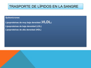 TRASPORTE DE LÍPIDOS EN LA SANGRE
Quilomicrones
Lipoproteínas de muy baja densidad (
Lipoproteínas de baja densidad (LDL)
Lipoproteínas de alta densidad (HDL)

VLDL)

 