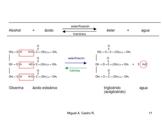 11Miguel A. Castro R.
 