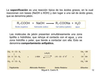 La saponificación es una reacción típica de los ácidos grasos, en la cual
reaccionan con bases (NaOH o KOH) y dan lugar a una sal de ácido graso,
que se denomina jabón.
Las moléculas de jabón presentan simultáneamente una zona
lipófila o hidrófoba, que rehúye el contacto con el agua, y una
zona hidrófila o polar, que tiende a contactar con ella. Esto se
denomina comportamiento anfipático.
12Miguel A. Castro R.
 