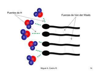 O
H
H
O
H
H
O
HH
O
H
HO
H
H
Fuerzas de Van der Waals
Puentes de H
14Miguel A. Castro R.
 