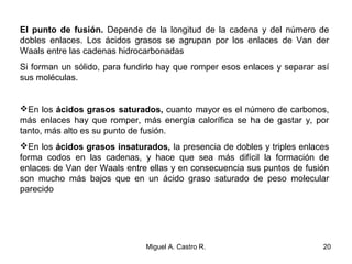 El punto de fusión. Depende de la longitud de la cadena y del número de
dobles enlaces. Los ácidos grasos se agrupan por los enlaces de Van der
Waals entre las cadenas hidrocarbonadas
Si forman un sólido, para fundirlo hay que romper esos enlaces y separar así
sus moléculas.
En los ácidos grasos saturados, cuanto mayor es el número de carbonos,
más enlaces hay que romper, más energía calorífica se ha de gastar y, por
tanto, más alto es su punto de fusión.
En los ácidos grasos insaturados, la presencia de dobles y triples enlaces
forma codos en las cadenas, y hace que sea más difícil la formación de
enlaces de Van der Waals entre ellas y en consecuencia sus puntos de fusión
son mucho más bajos que en un ácido graso saturado de peso molecular
parecido
20Miguel A. Castro R.
 